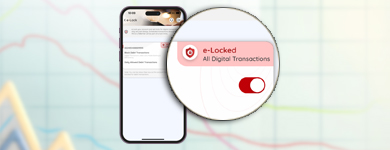 Advanced Security with e-Lock