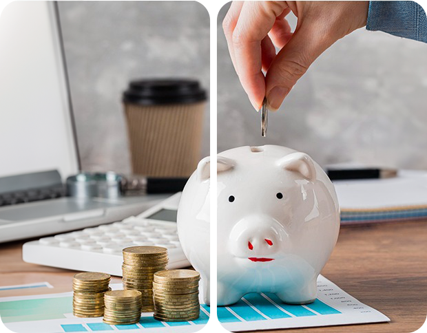 Empowering NRIs with Simple, Secure, and Flexible Banking Solutions